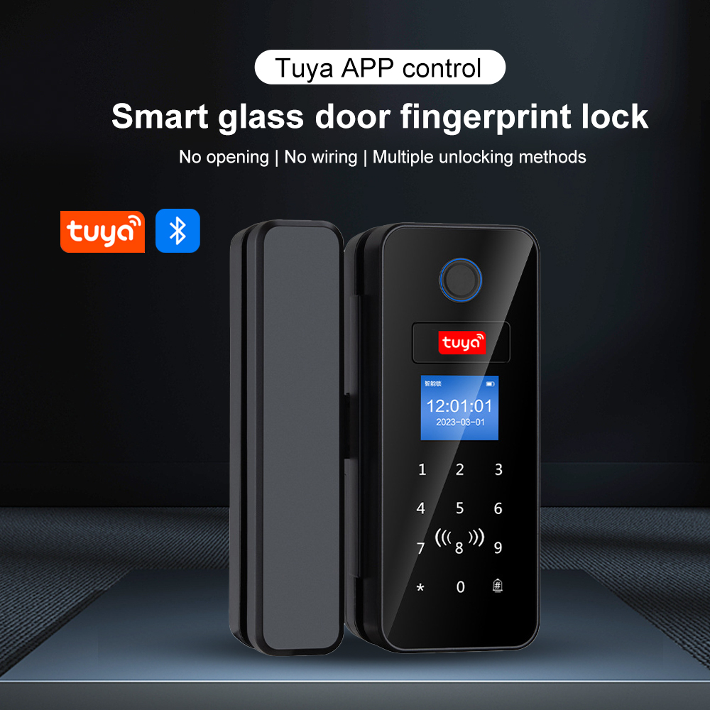 Double Hook Smart Glass Door L - огляд і ціна Smart Garden Gate Lock
