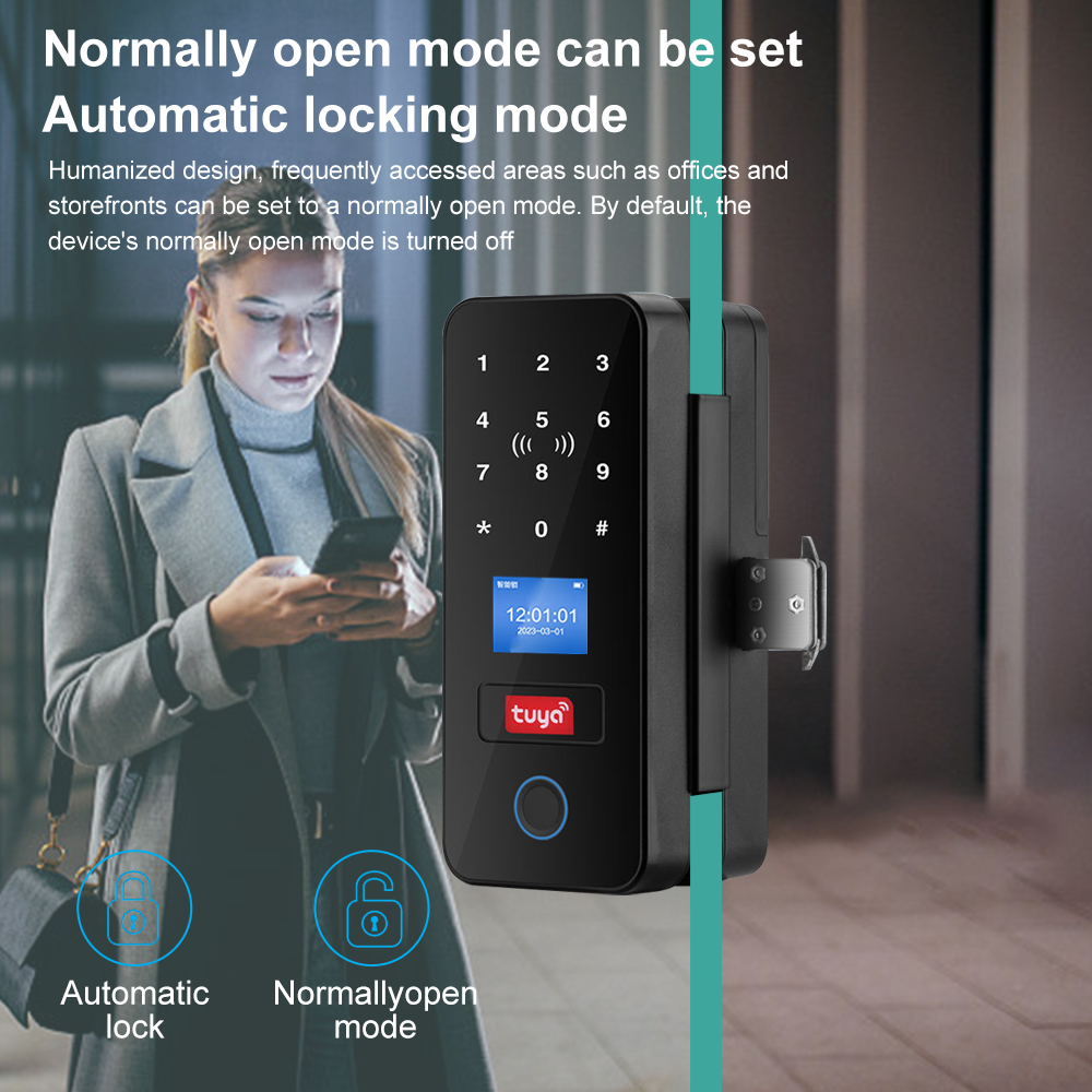 Double Hook Smart Glass Door L - огляд і ціна Smart Garden Gate Lock