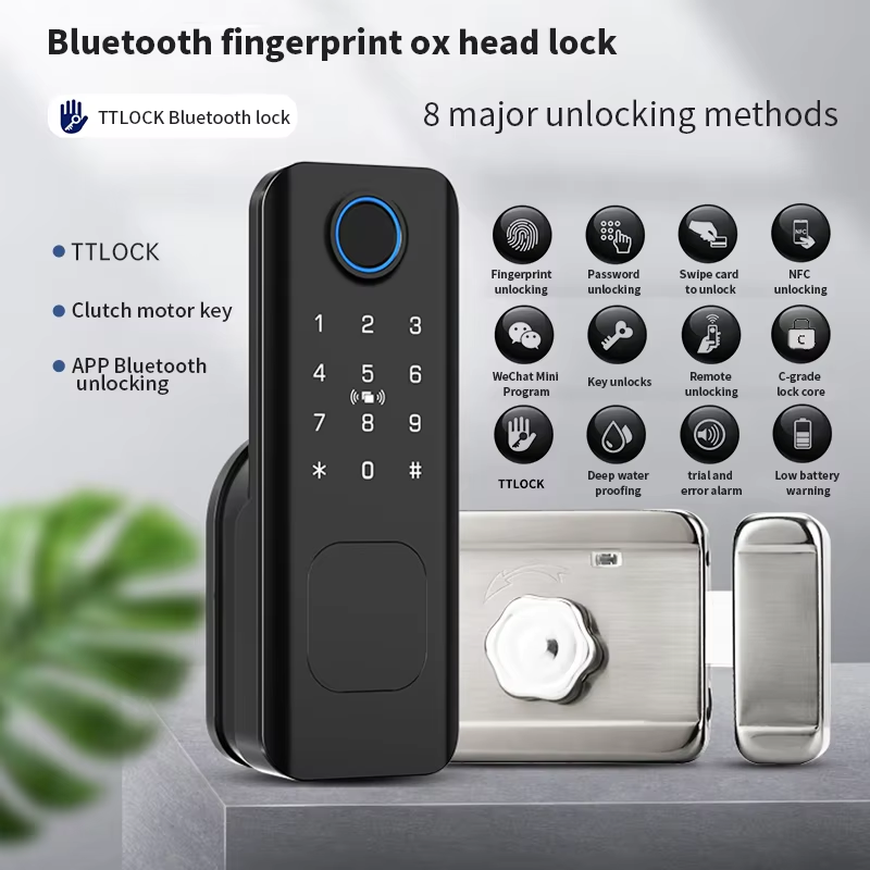 Beginnerr Tuya Ttlock Outdoor  - огляд і ціна Smart Garden Lock